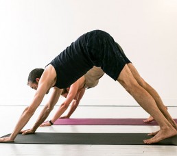 Frederic Choukroun professeur de yoga